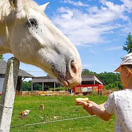 Tatil parkı Vvf Normandie 3*
