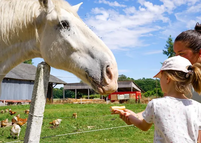 Vvf Normandie 假日公园 3*